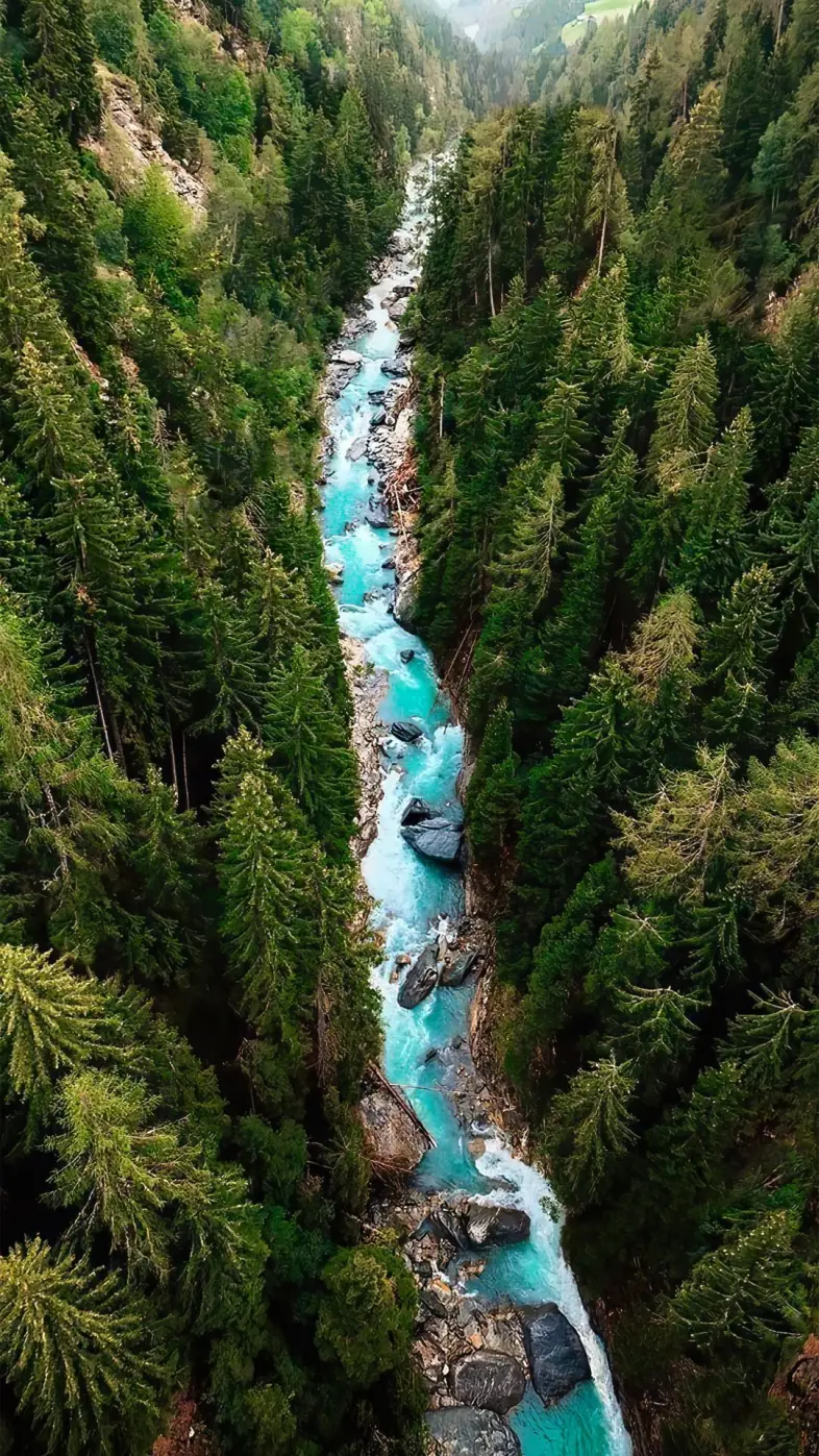 tree water natural landscape watercourse wallpaper