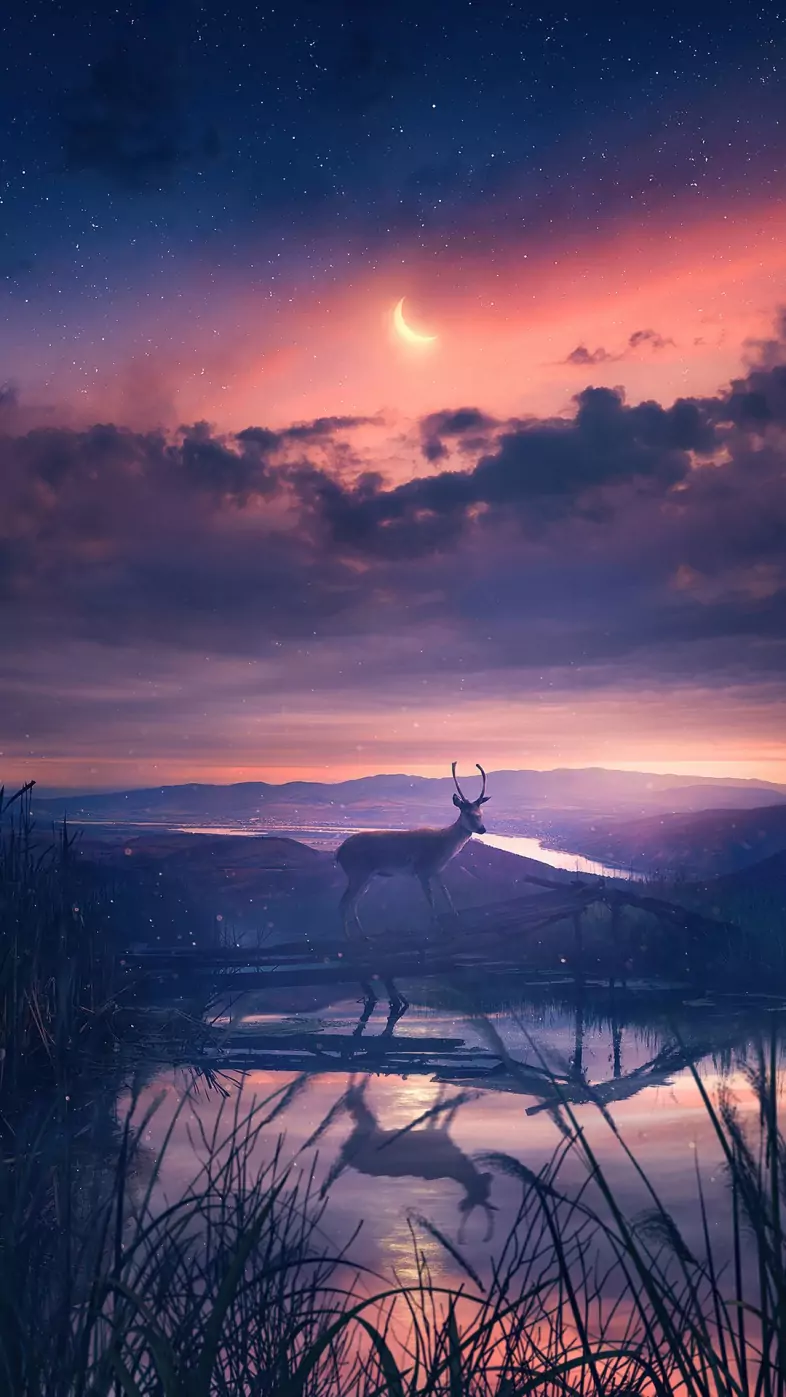 twilight deer wallpaper