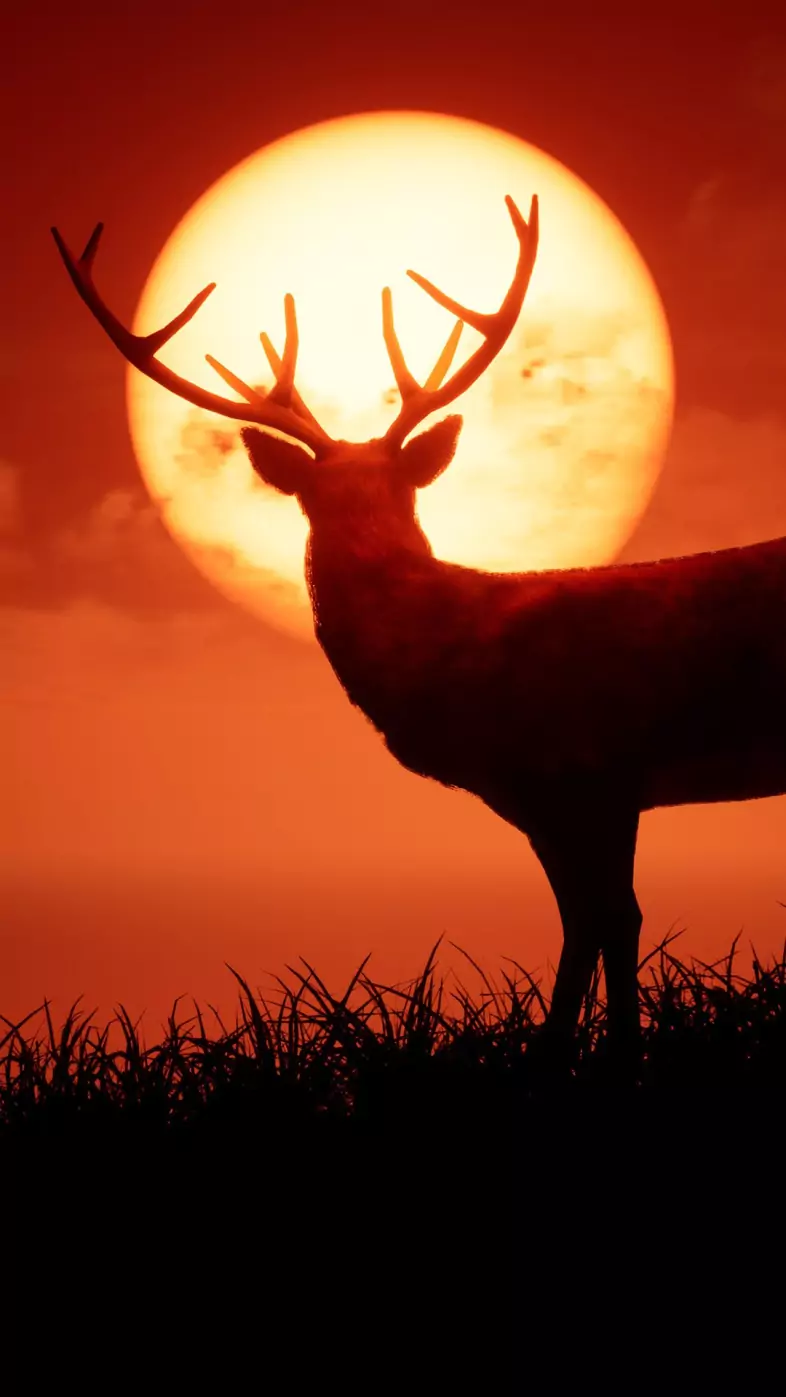 unreal deer wallpaper