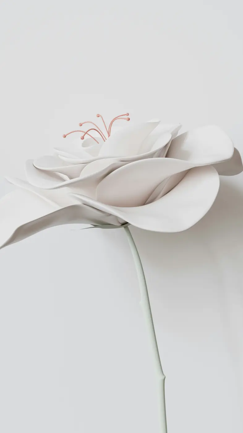 white flower wallpaper
