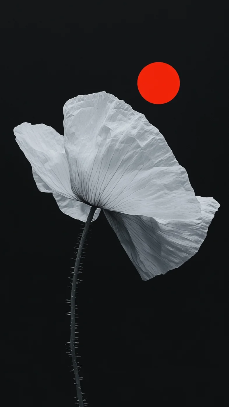 white flowers wallpaper