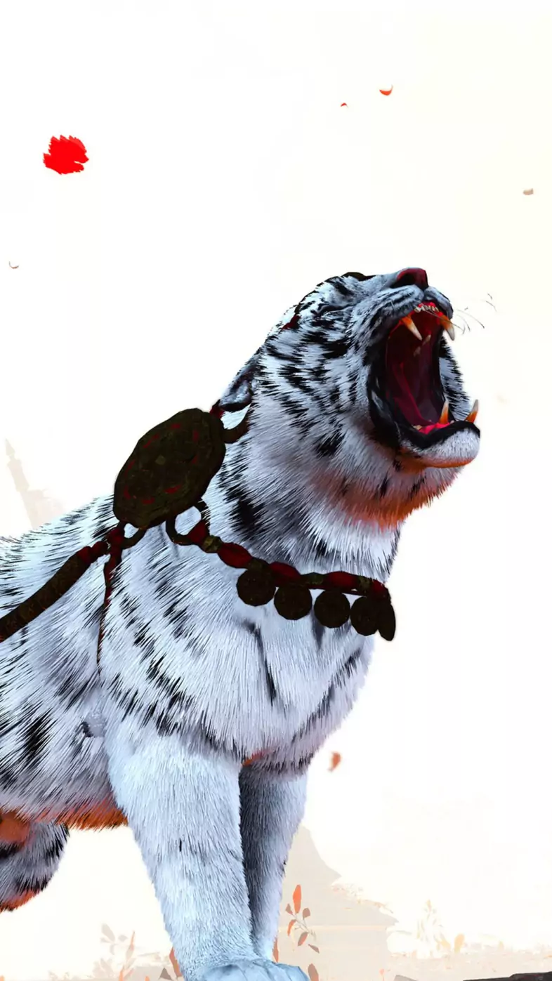 white tiger wallpaper