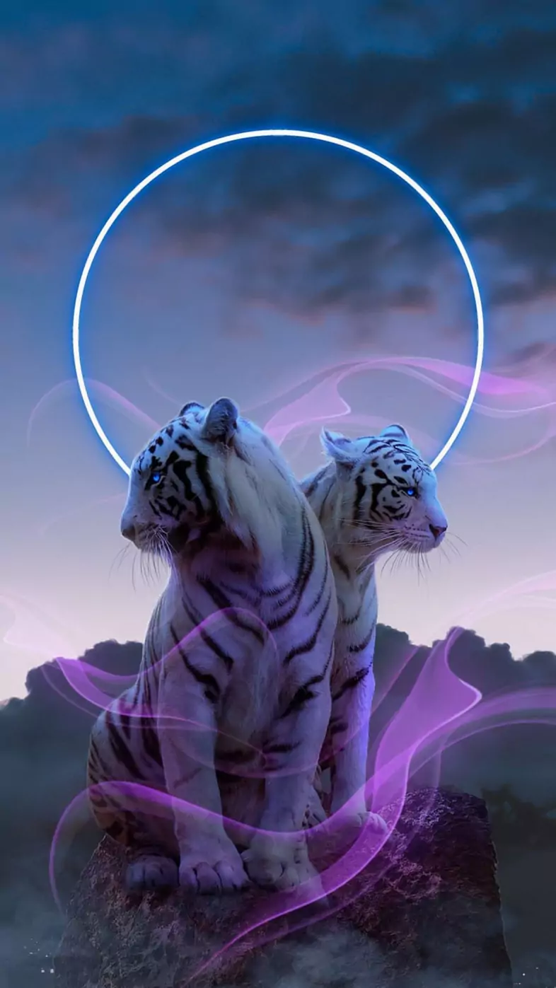 white tiger wallpaper