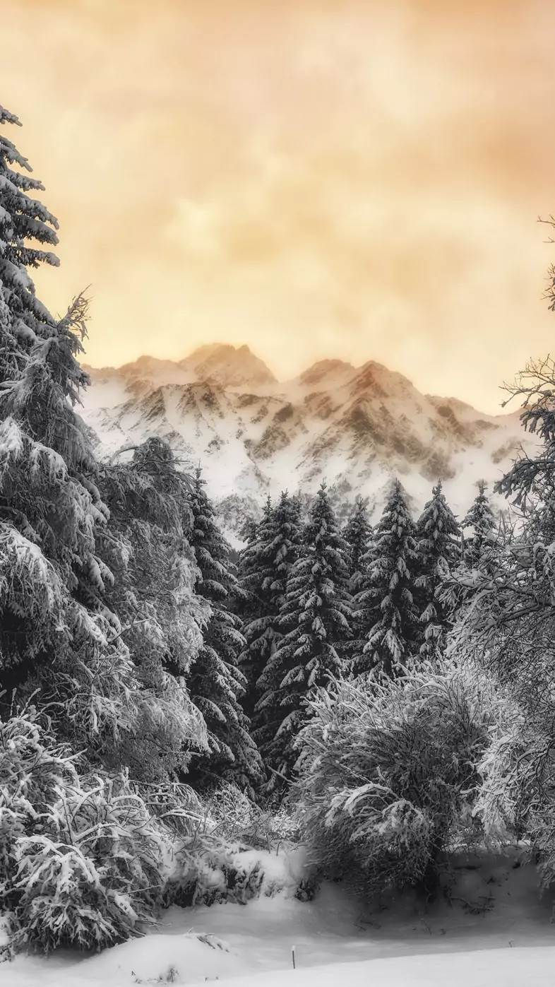 winter wallpaper