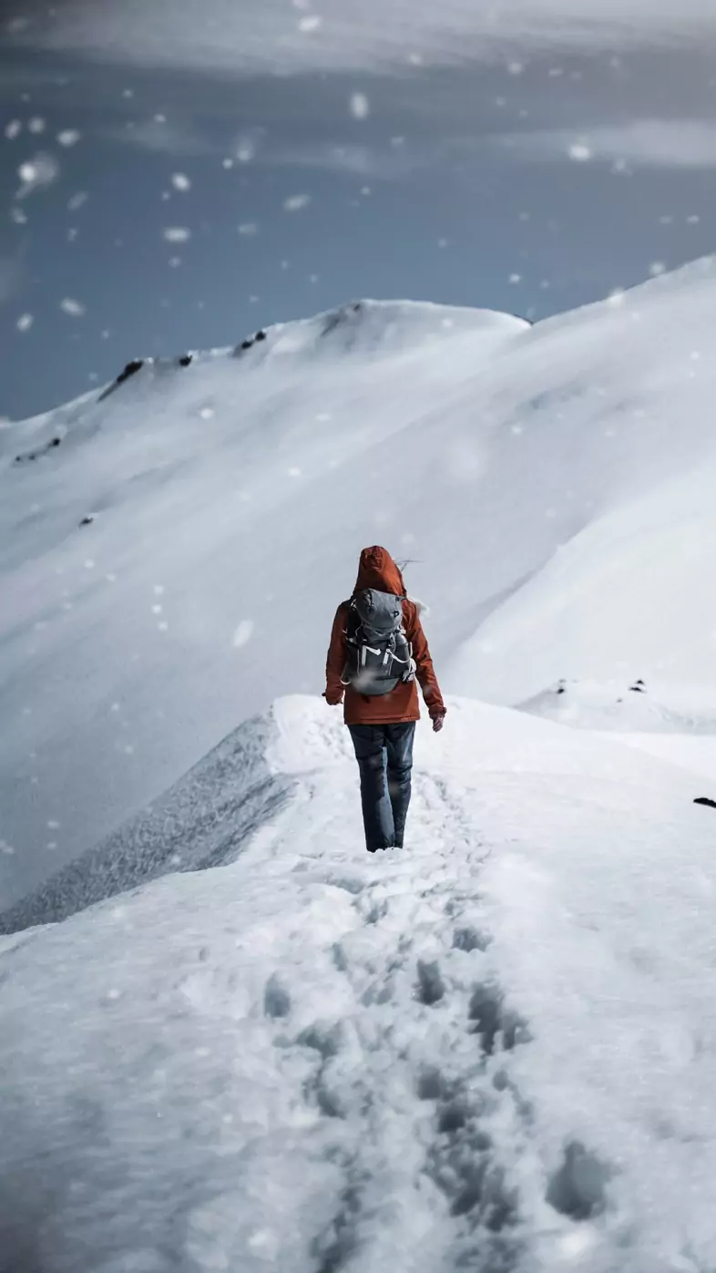 winter wallpaper