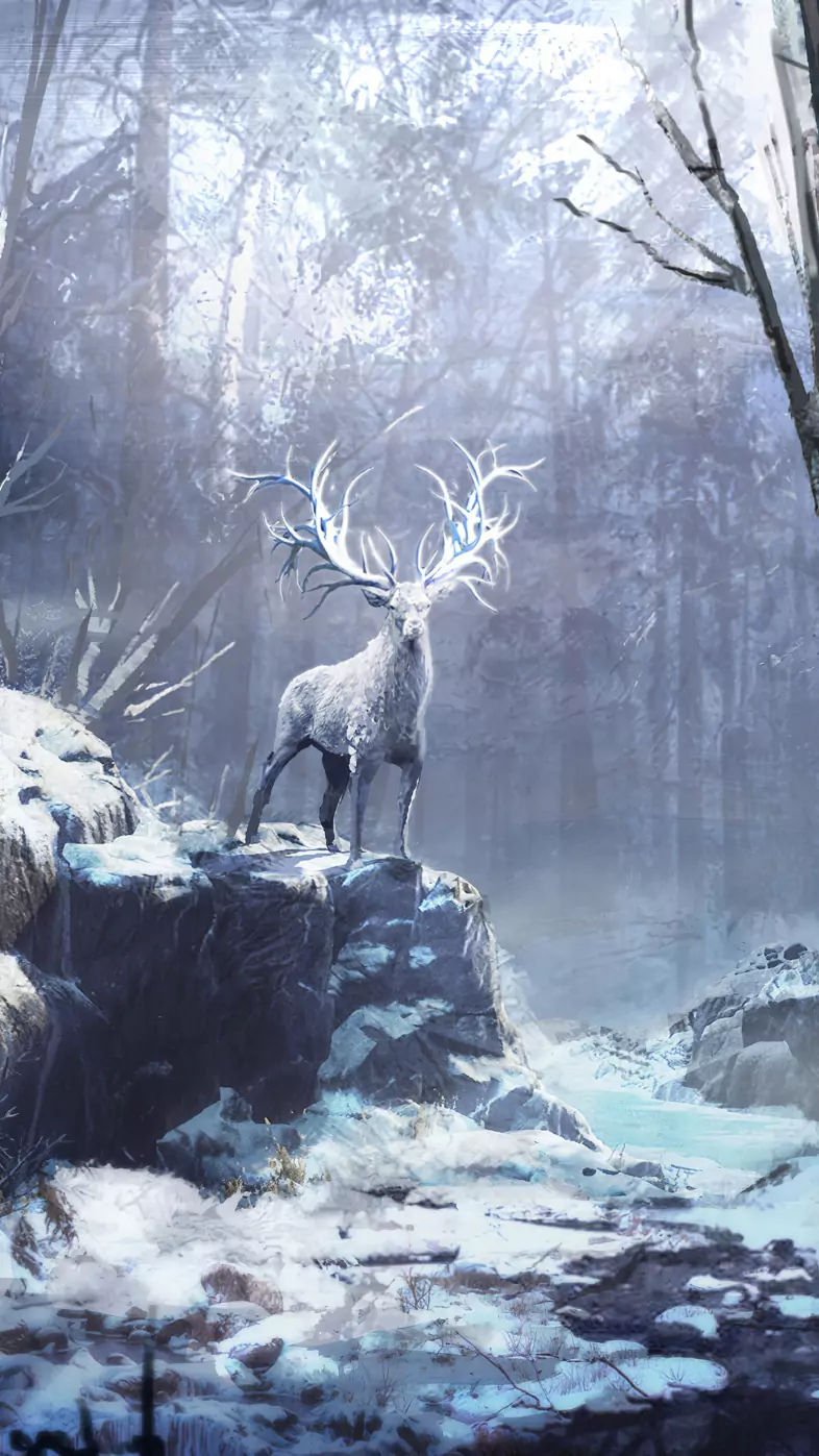 winter forest reindeer wallpaper