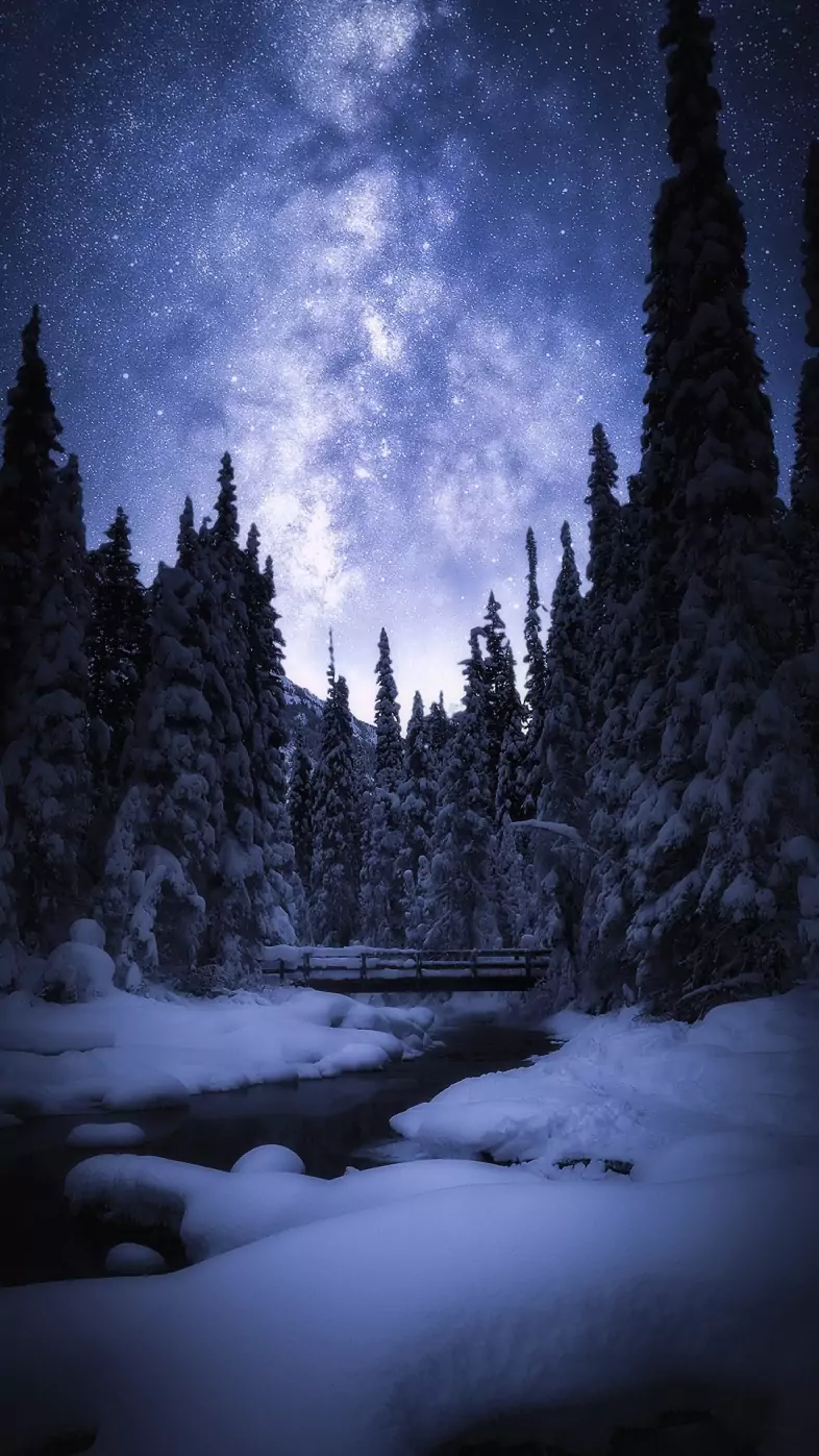 winter night wallpaper