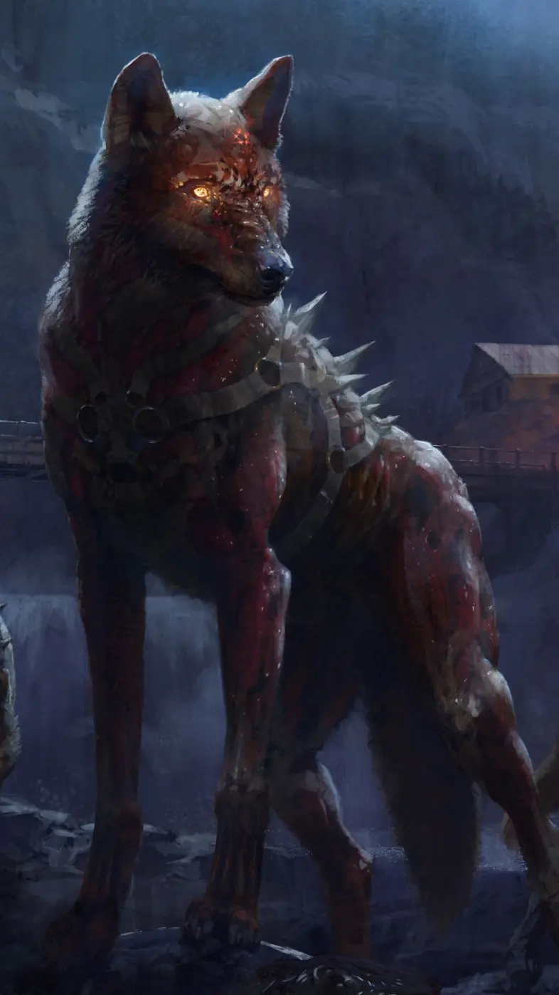 wolf  wallpaper