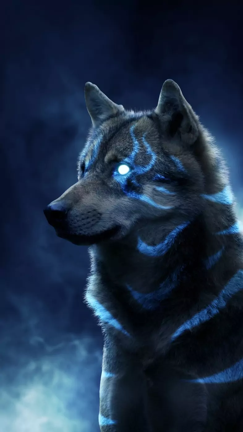 wolf wallpaper
