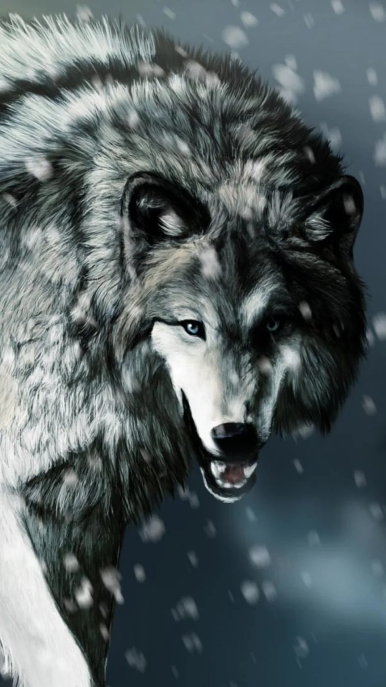 wolf wallpaper