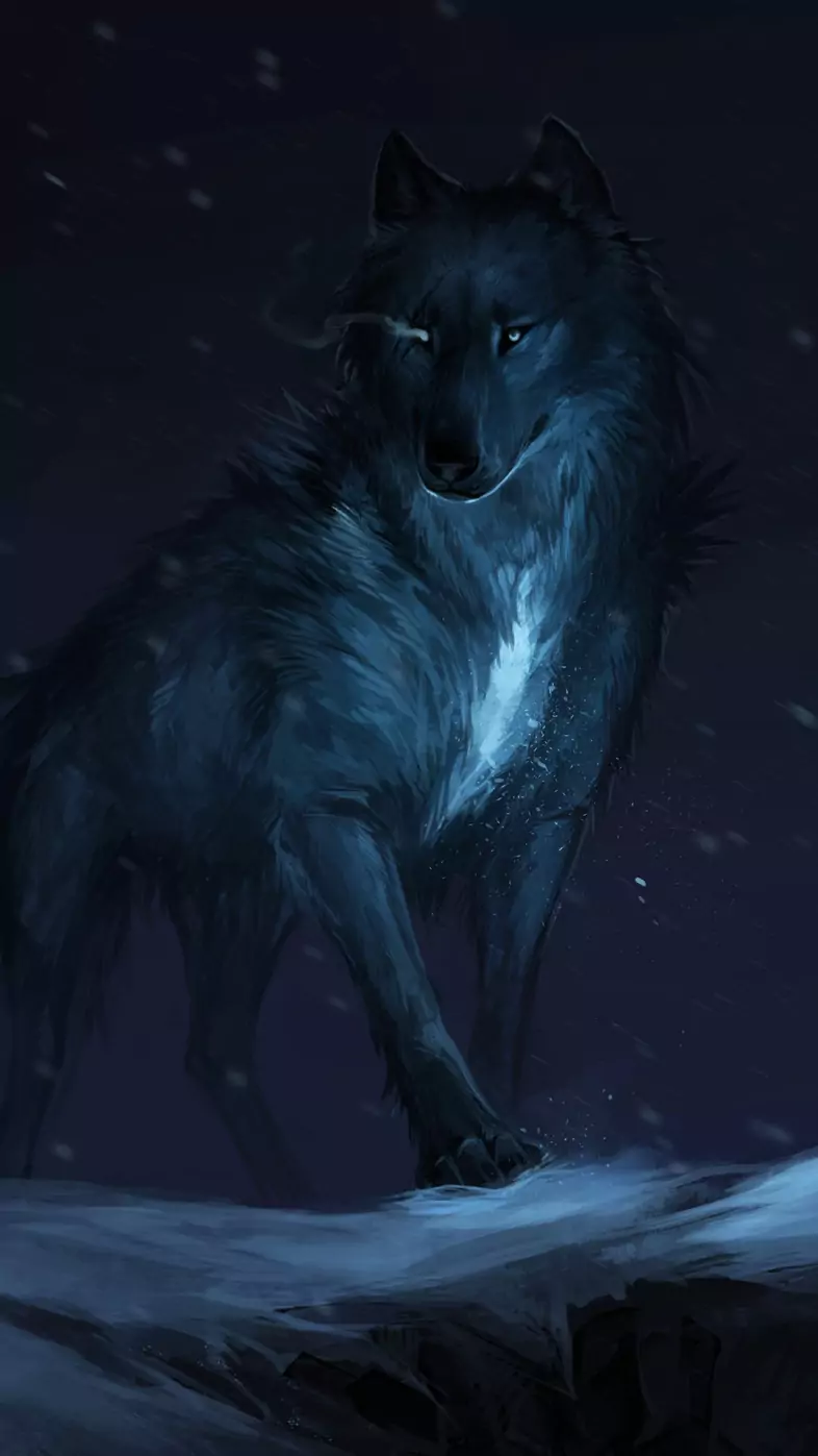 wolf drawing wallpaper