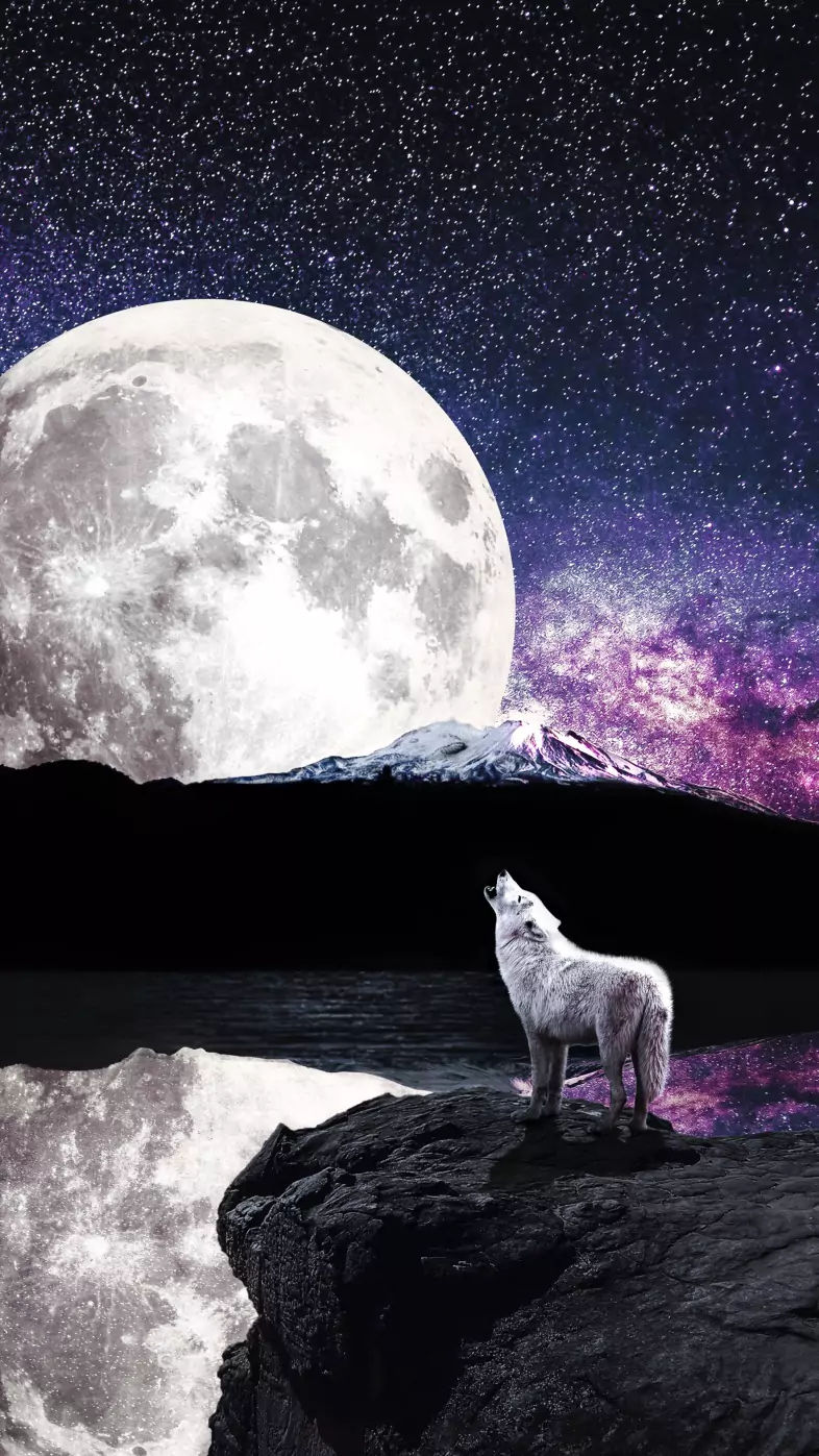 wolf moon river  wallpaper