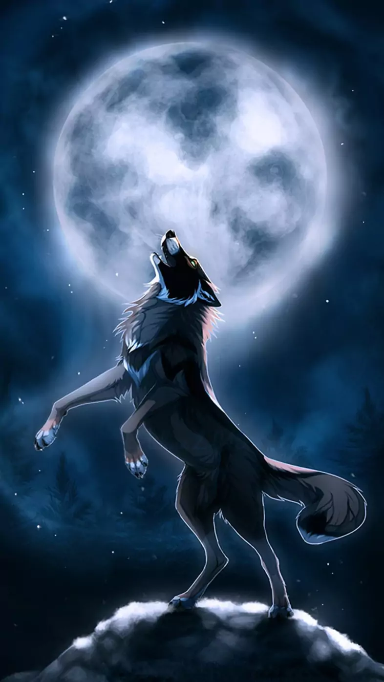 wolf night wallpaper