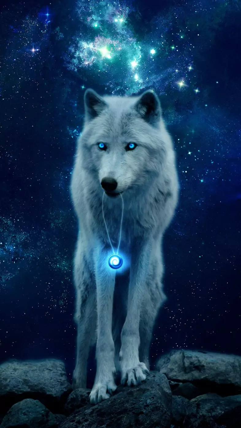 wolf night wallpaper