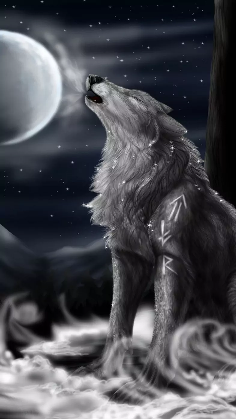 wolf night wallpaper